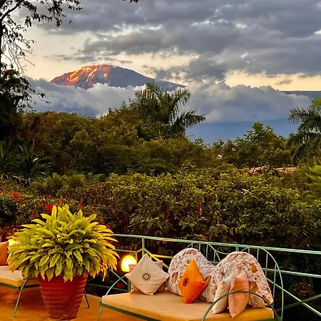Pink Flamingo Boutique Hotel-2